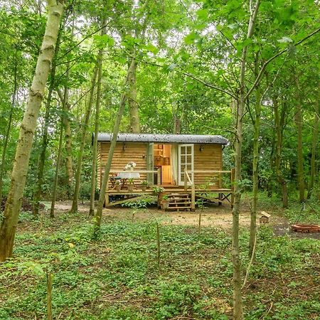 Woodland Retreat Shepherds Hut Villa Brundish Bagian luar foto