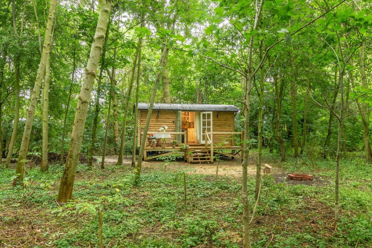 Woodland Retreat Shepherds Hut Villa Brundish Bagian luar foto